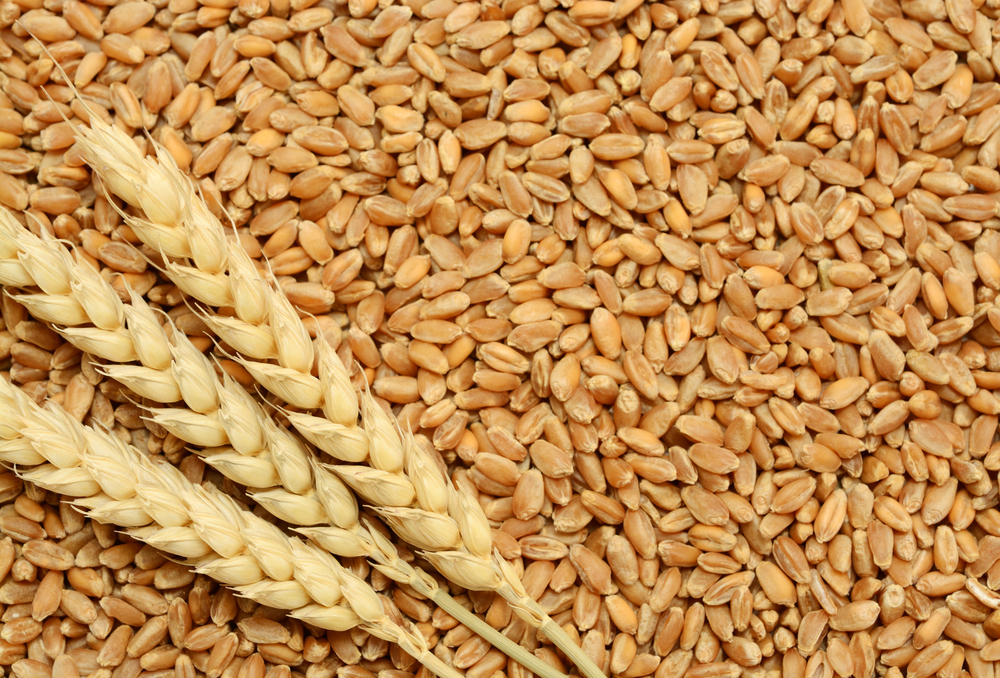 Grains